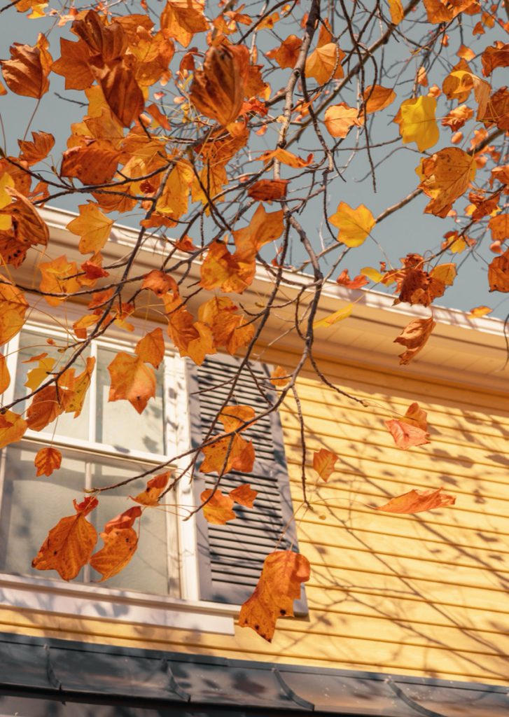 A vertical shot of a branch with yellow autumn leaves in front of a house